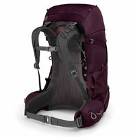 Osprey Renn Women's Hiking Backpack Aurora Purple harness